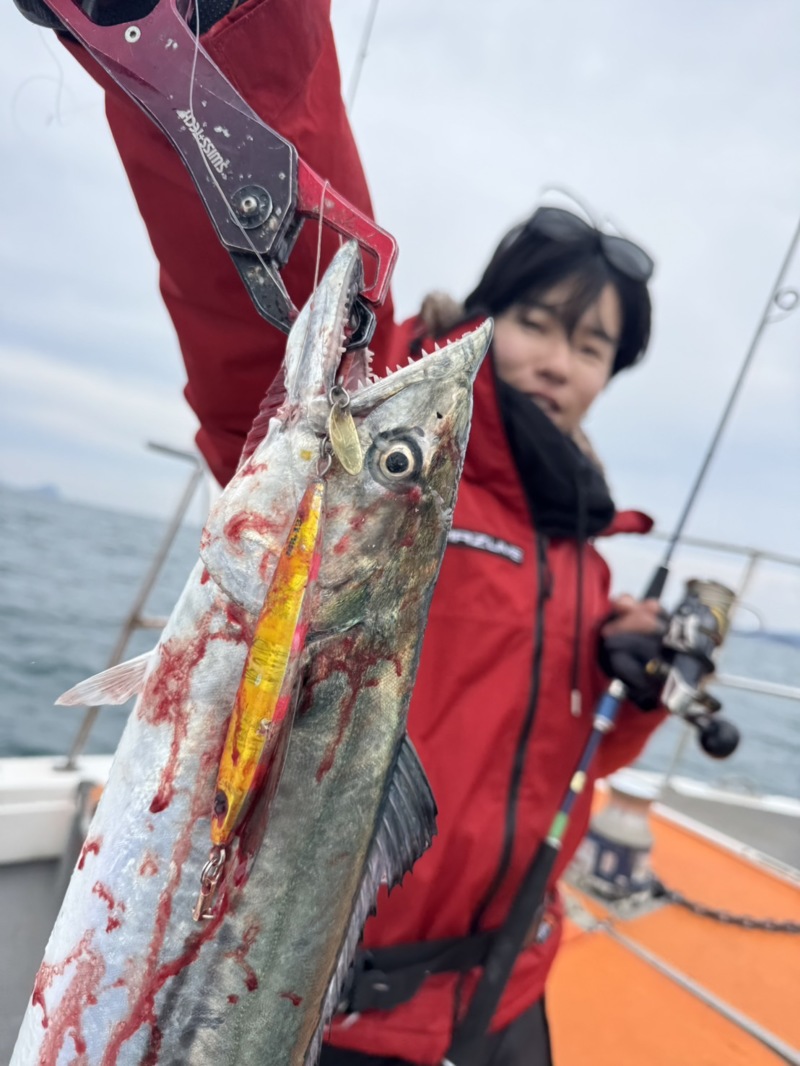 京都府宮津市「翔舞丸plus」ブレードジギングでサワラ釣果