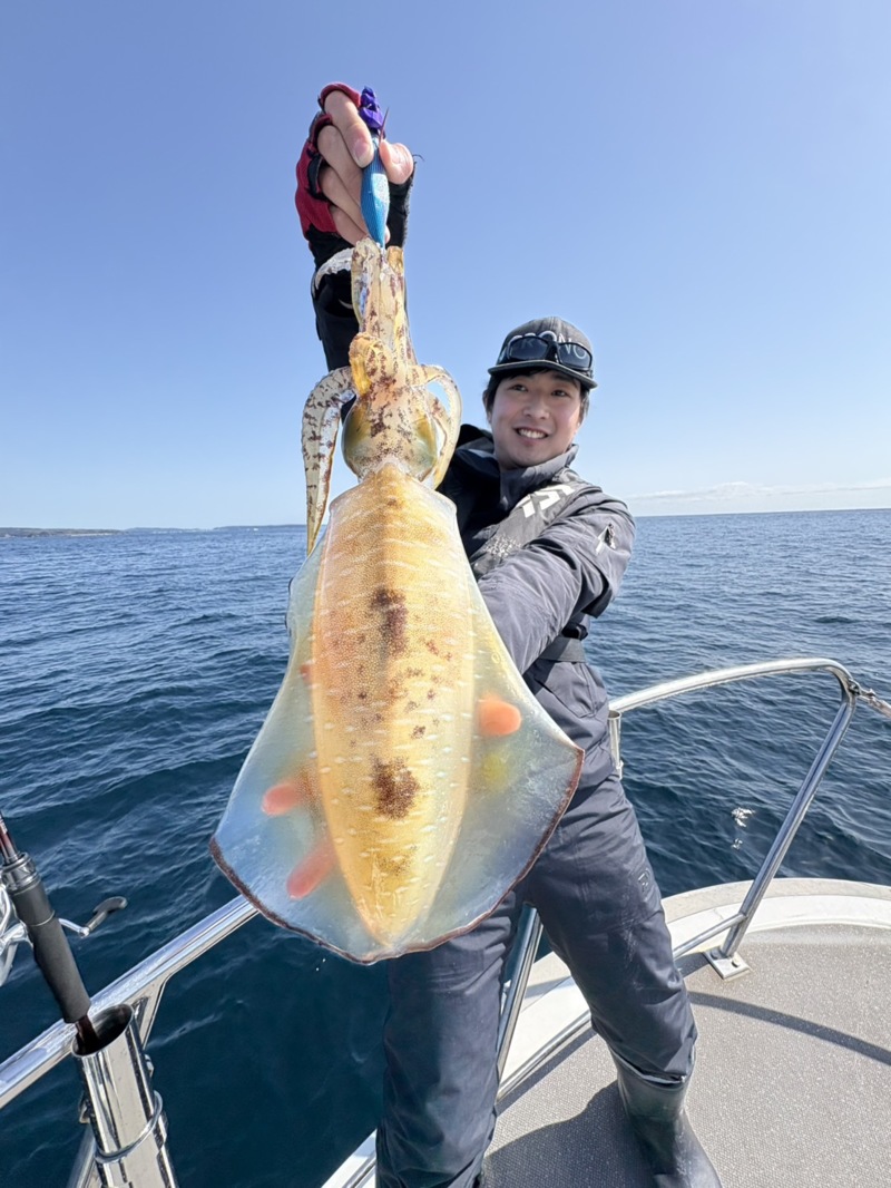 和歌山県田辺市サウスカレントさんでティップランの釣果