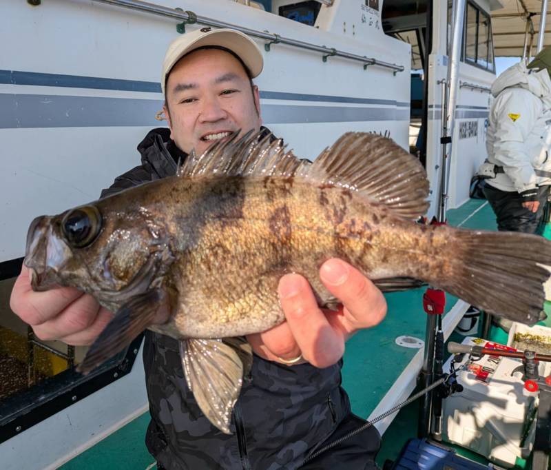 兵庫県神戸市須磨「仙正丸」のメバル釣果