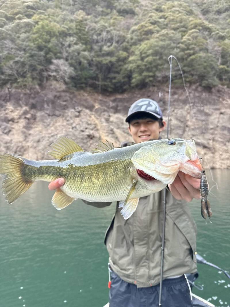 奈良県池原ダムのレンタルボートでブラックバス釣果