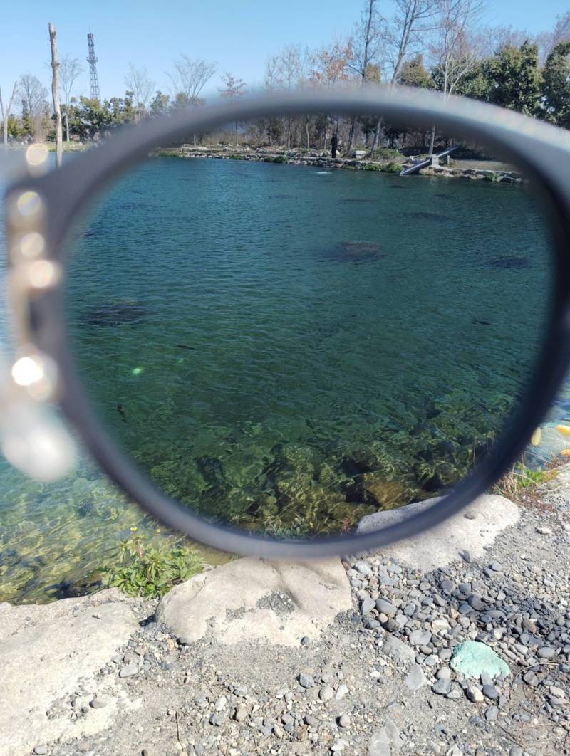 滋賀県高島市「高島の泉」ニジマス釣果