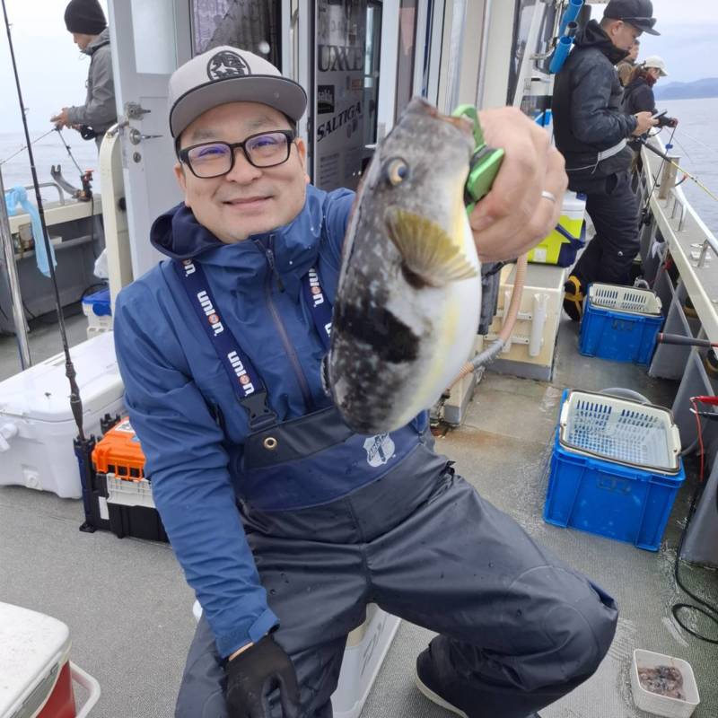 兵庫県柴山港大吉丸でのマフグ釣果