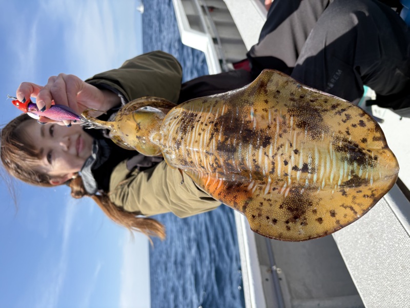 三重県南伊勢町名古丸ティップラン‼️