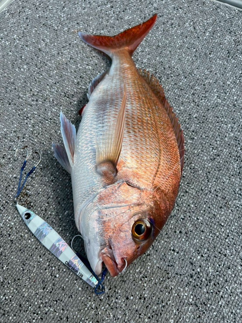 尾鷲近海五目タイラバ&ジギング!