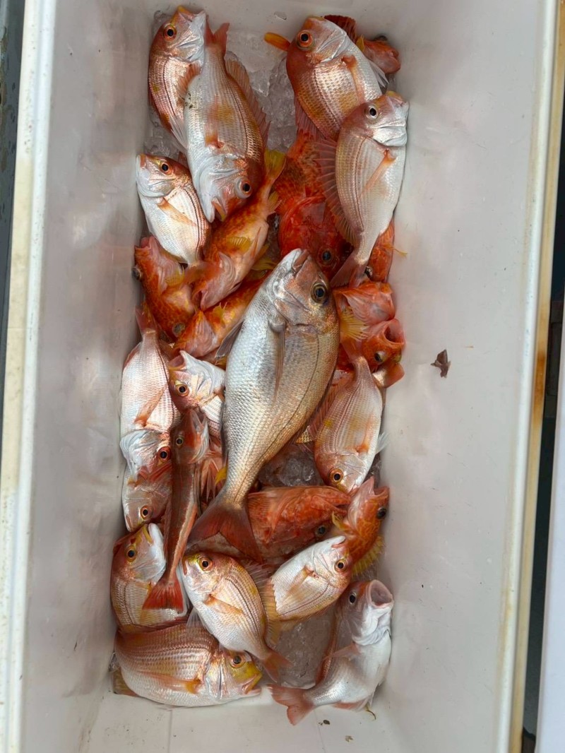 尾鷲近海五目タイラバ&ジギング!