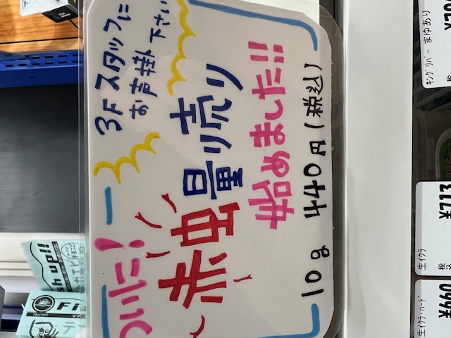 琵琶湖湖西内湖でホンモロコ釣り7