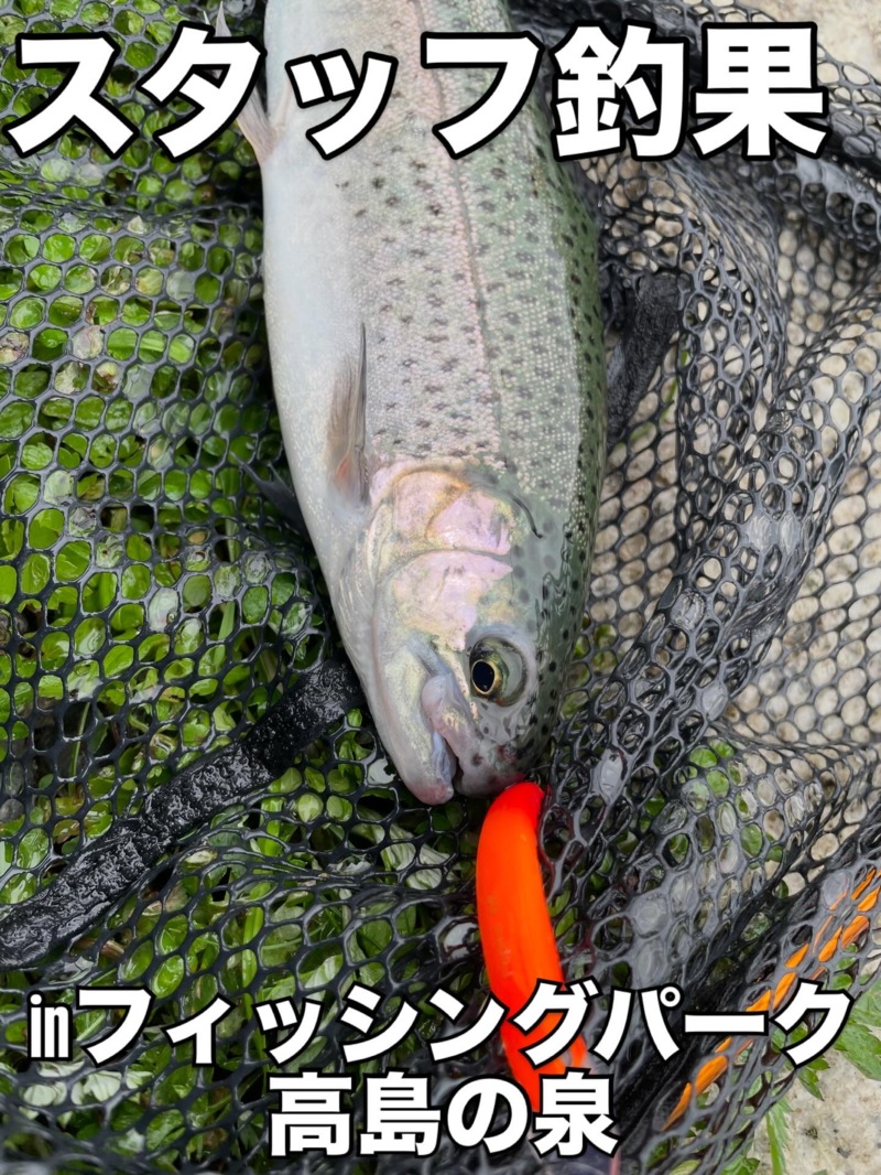 滋賀県高島市 「フィッシングパーク高島の泉」でトラウト釣果