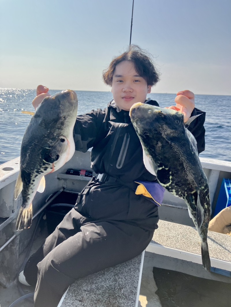 三重県鳥羽市国崎  第八幸丸でトラフグ釣果