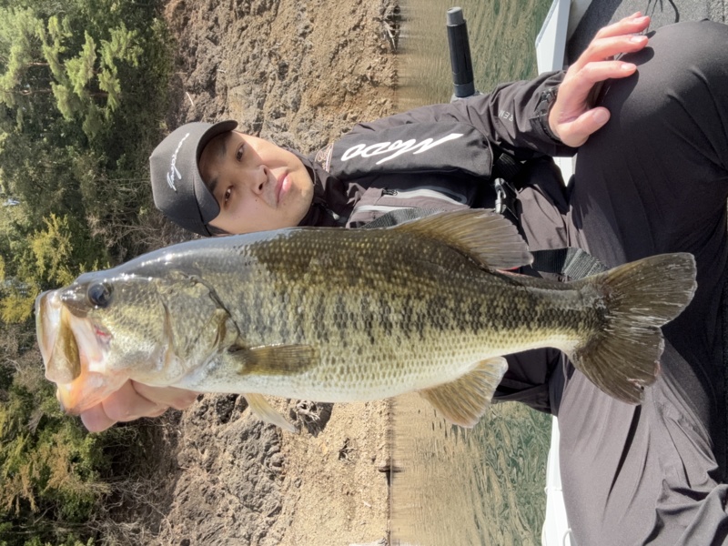 濁りの入った春の池原ダム ブラックバス釣果情報