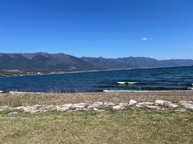 琵琶湖湖西和邇浜で小鮎釣り1