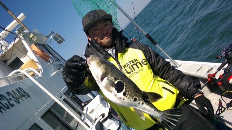 愛知県南知多「大進丸」トラフフグ釣果