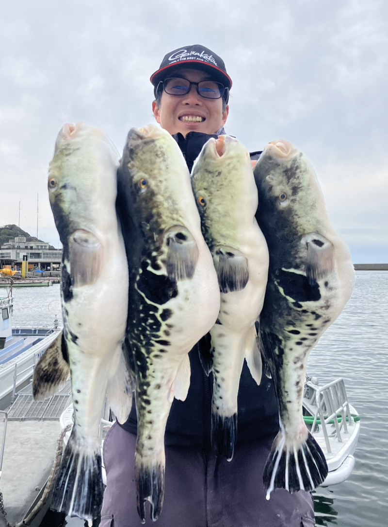 愛知県南知多町「大進丸」でトラフグ釣果