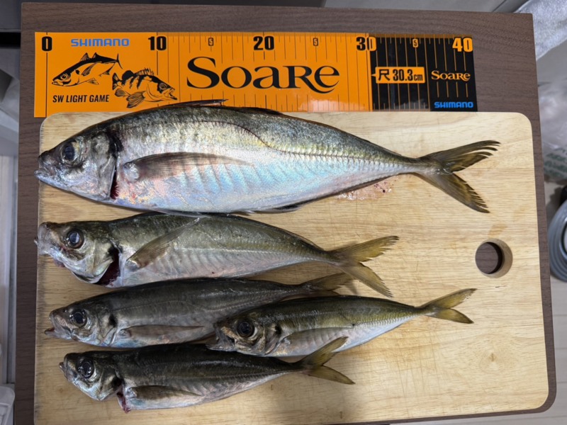 和歌山県日高郡「泰斗丸」のバチコンでアジ釣果