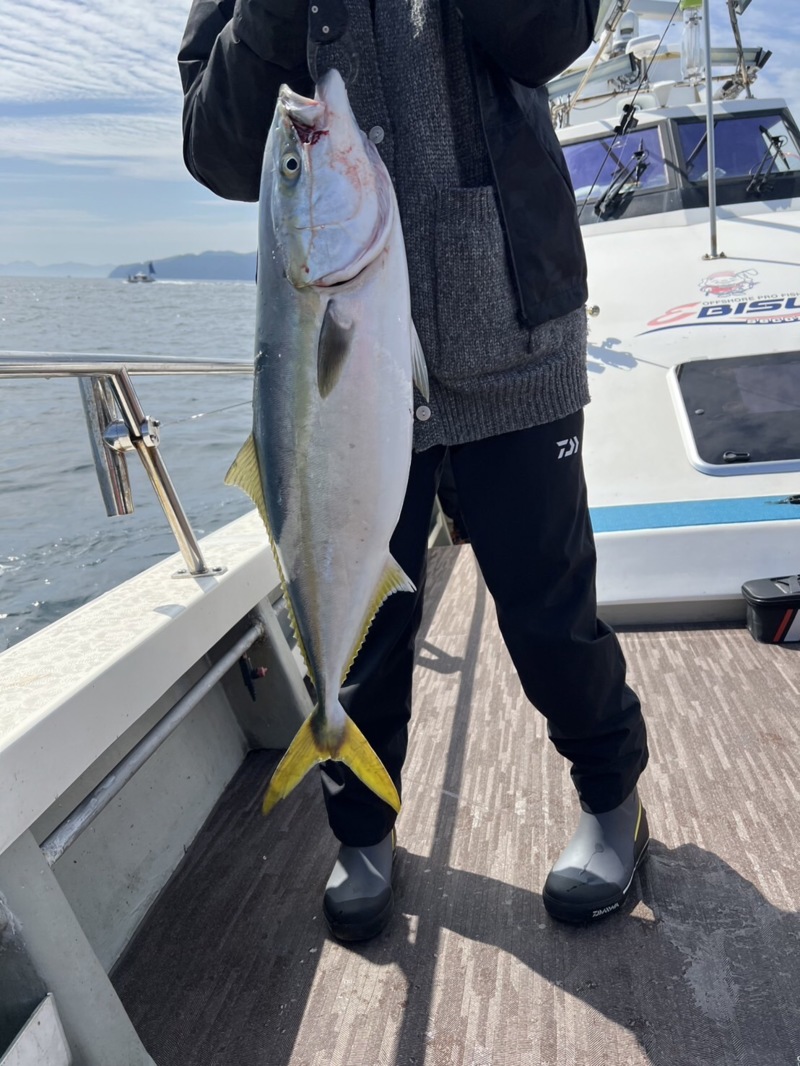京都府丹後エリアジギング 青物釣果
