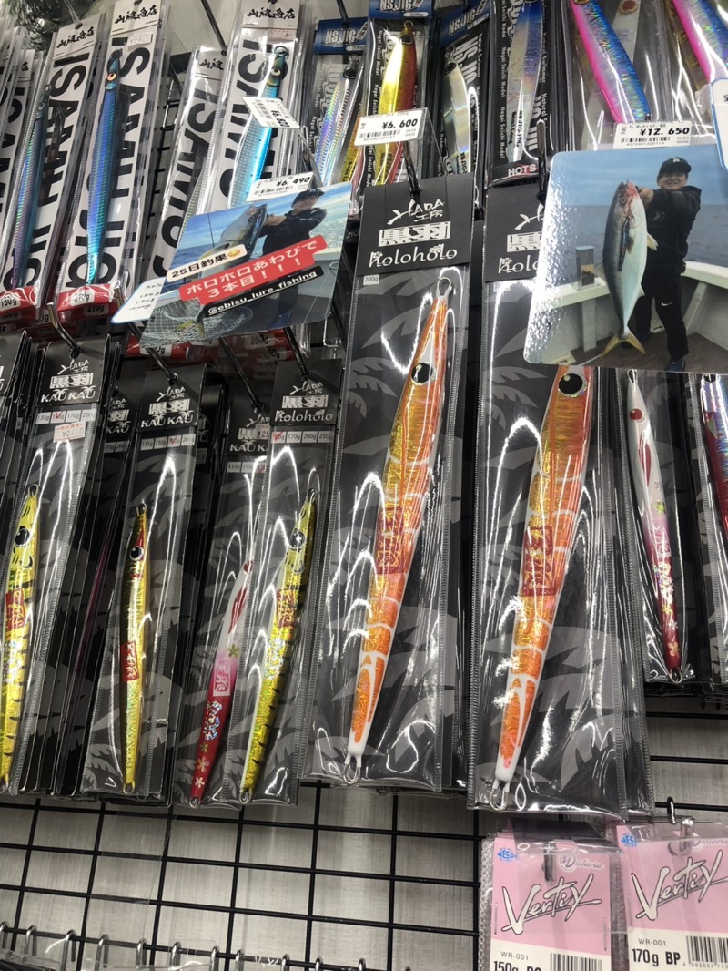 京都府丹後エリアジギング 青物釣果