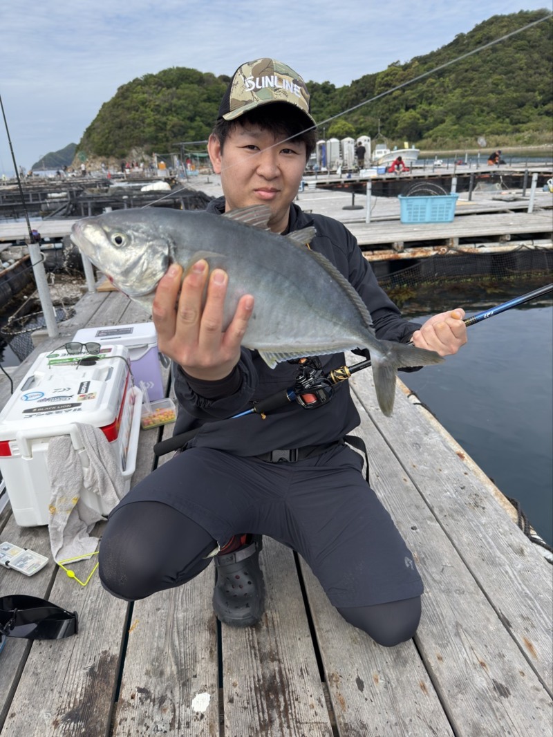和歌山県広川町「釣堀紀州」鯛、シマアジ、メジロ釣果