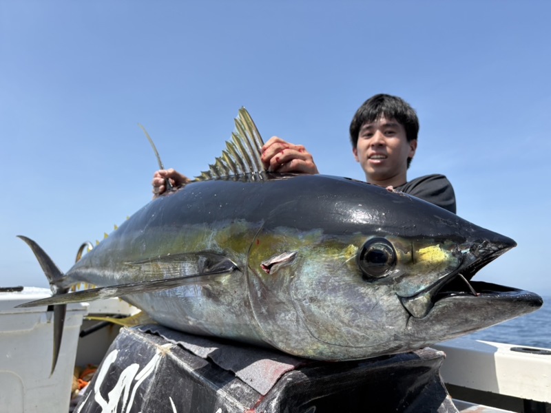 三重県尾鷲の遊漁船「スプラッシュ」のキハダマグロ釣果