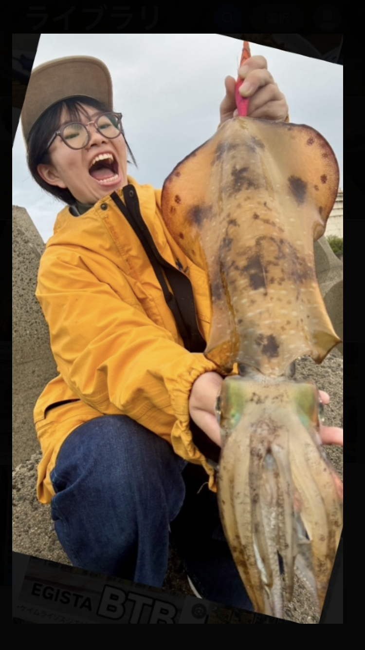 和歌山県有田市のエギングでアオリイカ釣果