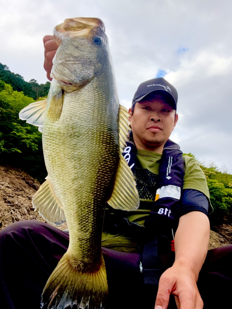 奈良県池原ダムのレンタルボートでブラックバス釣果