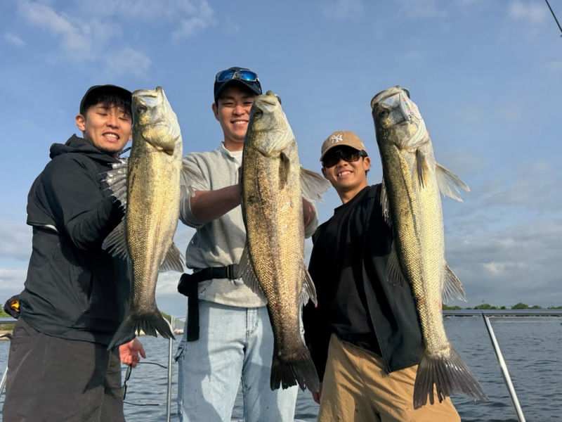 大阪市大正区「Chace」シーバス釣果