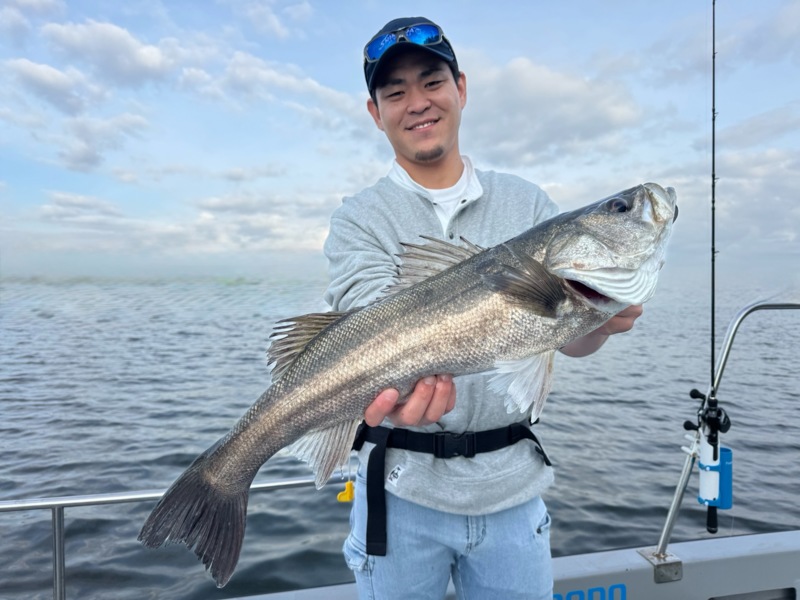大阪市大正区「Chace」シーバス釣果