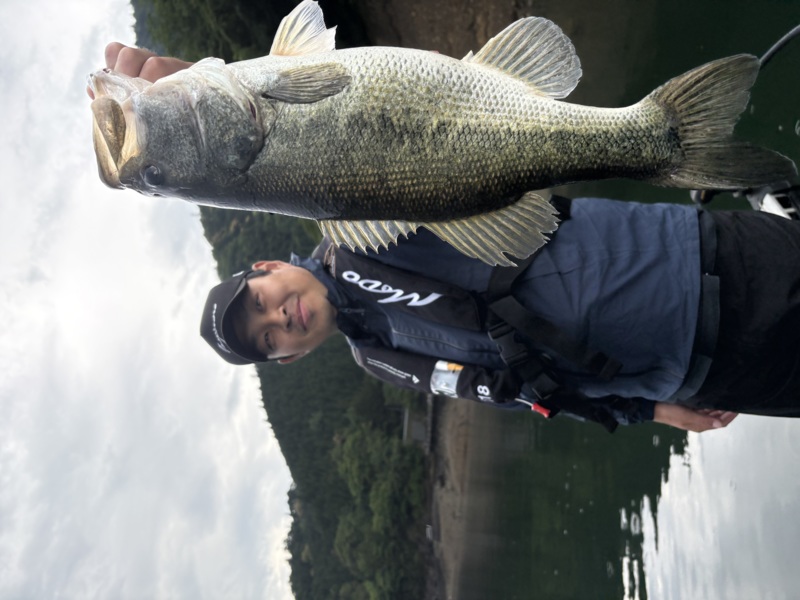 奈良県池原ダムのレンタルボートでブラックバス釣果