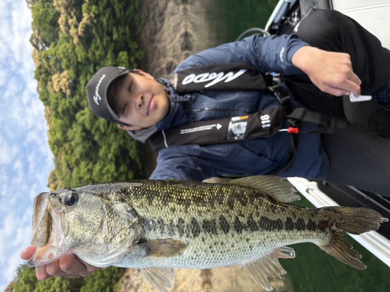 奈良県池原ダムのレンタルボートでブラックバス釣果