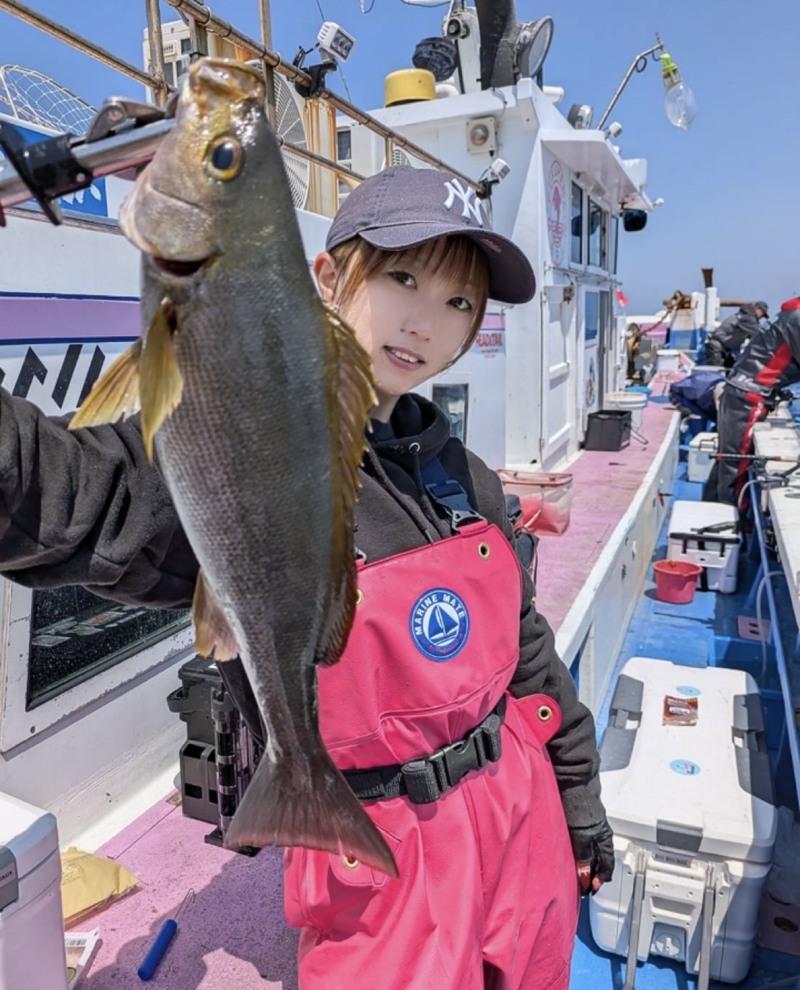 和歌山県日高町『岬丸』のイサキ釣果