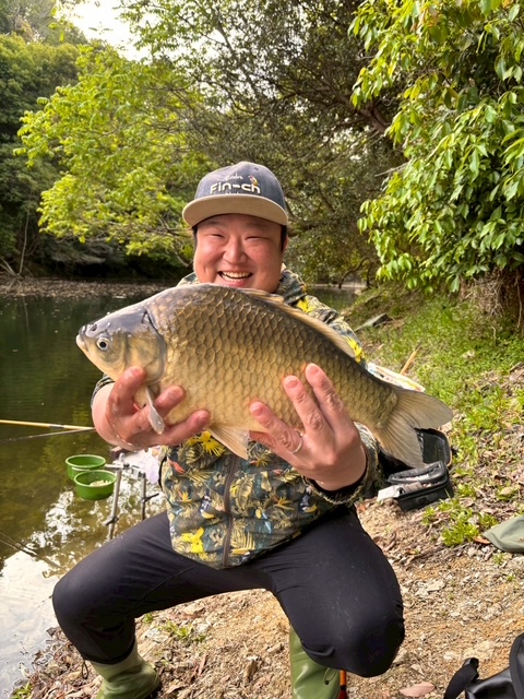 ダムの岸釣りでヘラブナ釣果