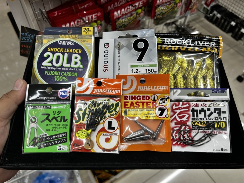 兵庫県姫路市エリアでのアコウ釣果