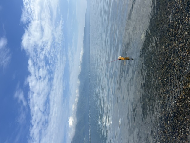 滋賀県琵琶湖湖西和邇浜で小鮎釣り
