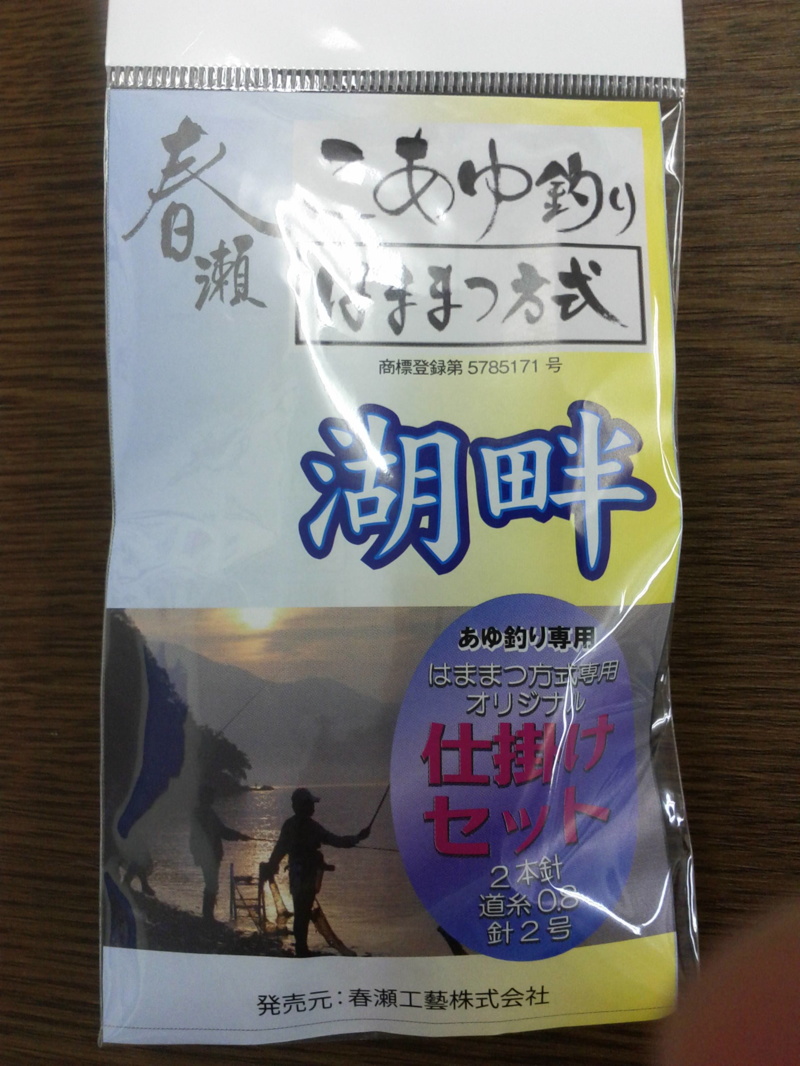 滋賀県琵琶湖湖西和邇浜で小鮎釣り