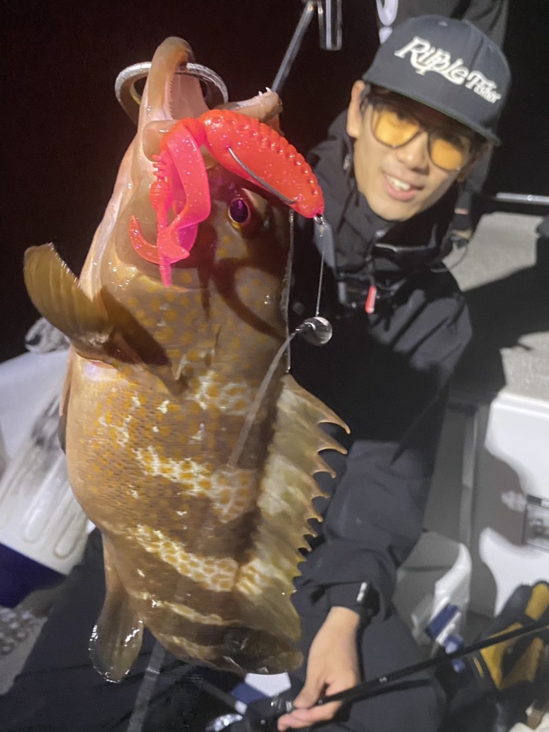 兵庫県神戸港発「バウンティーホエール」アコウ・シーバス釣果