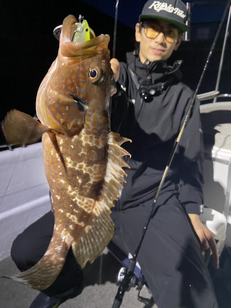兵庫県神戸港発「バウンティーホエール」アコウ・シーバス釣果