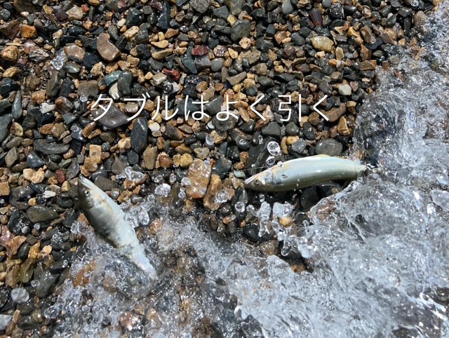 琵琶湖湖北の浜で小鮎釣り