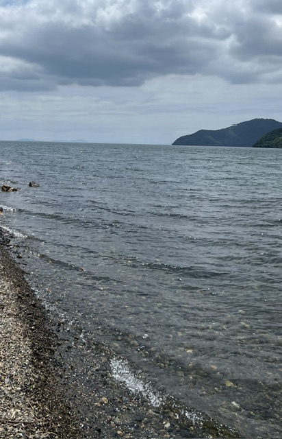 琵琶湖湖北の浜で小鮎釣り