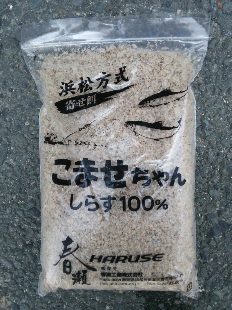琵琶湖湖北の浜で小鮎釣り