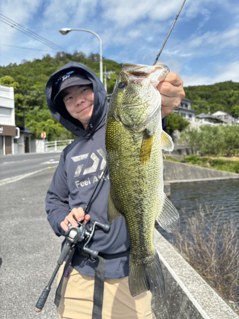 香川県小豆島の野池でブラックバス釣果