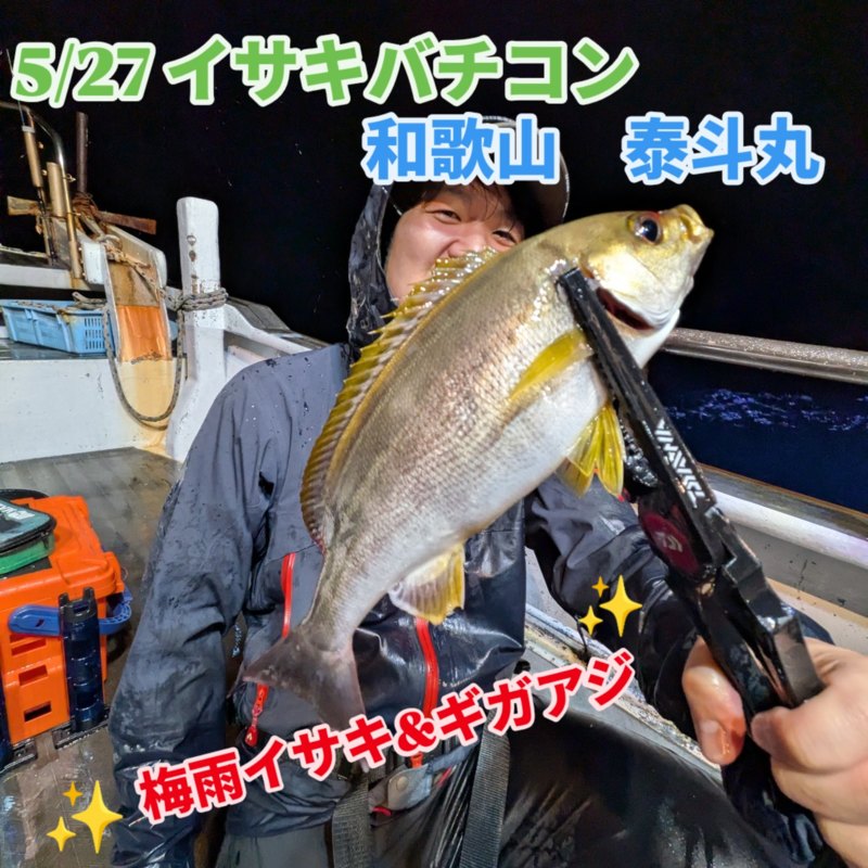 和歌山県日高郡美浜町「泰斗丸」バチコンでイサキ釣果