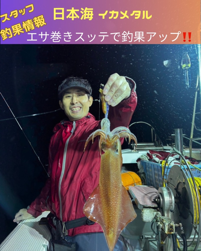 福井県美浜「米春丸」で スルメイカ ケンサキイカ釣果