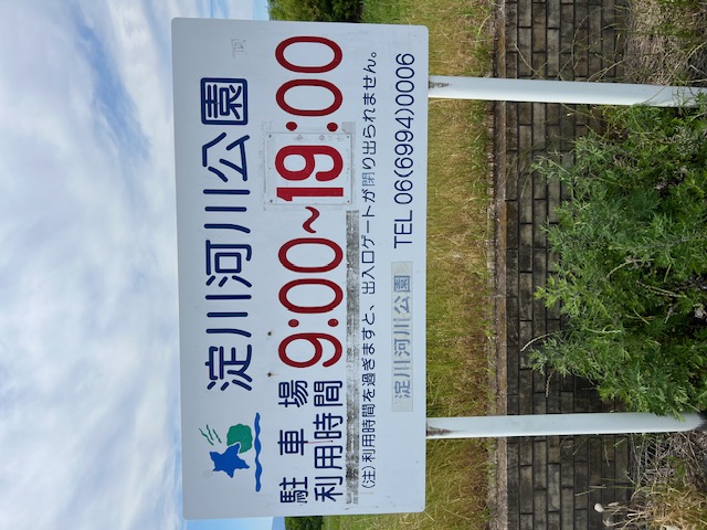 大阪府淀川河川公園枚方大橋岸からのオイカワ釣果
