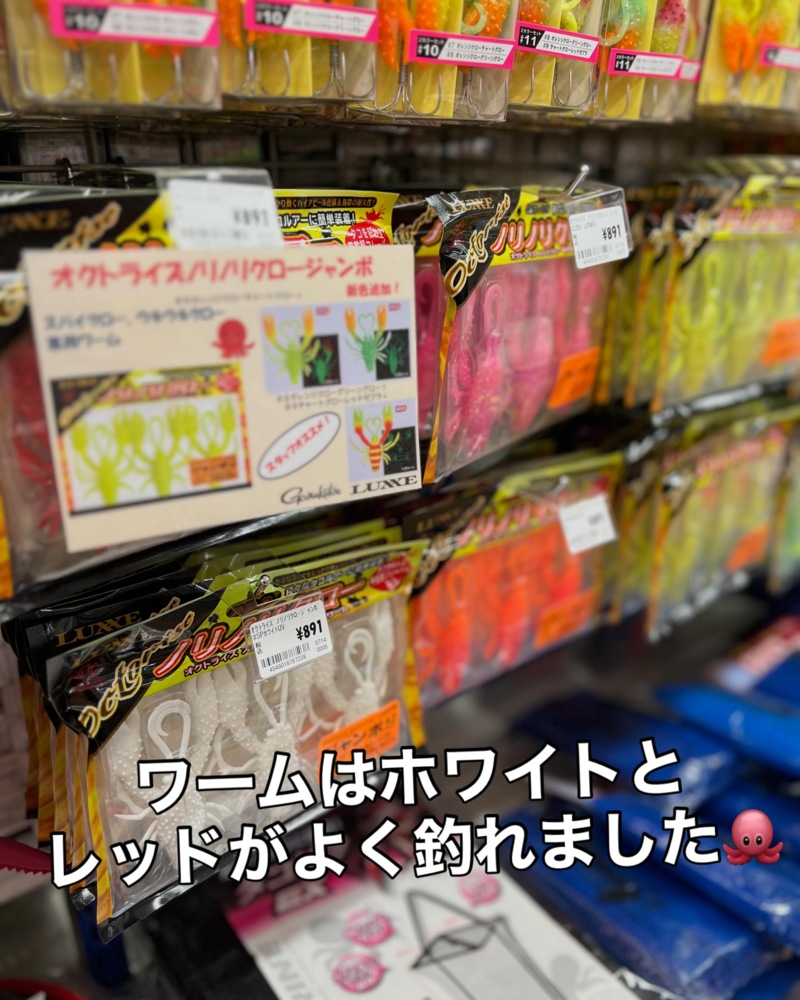兵庫県明石市「釣り船 名田屋」のタコ釣果