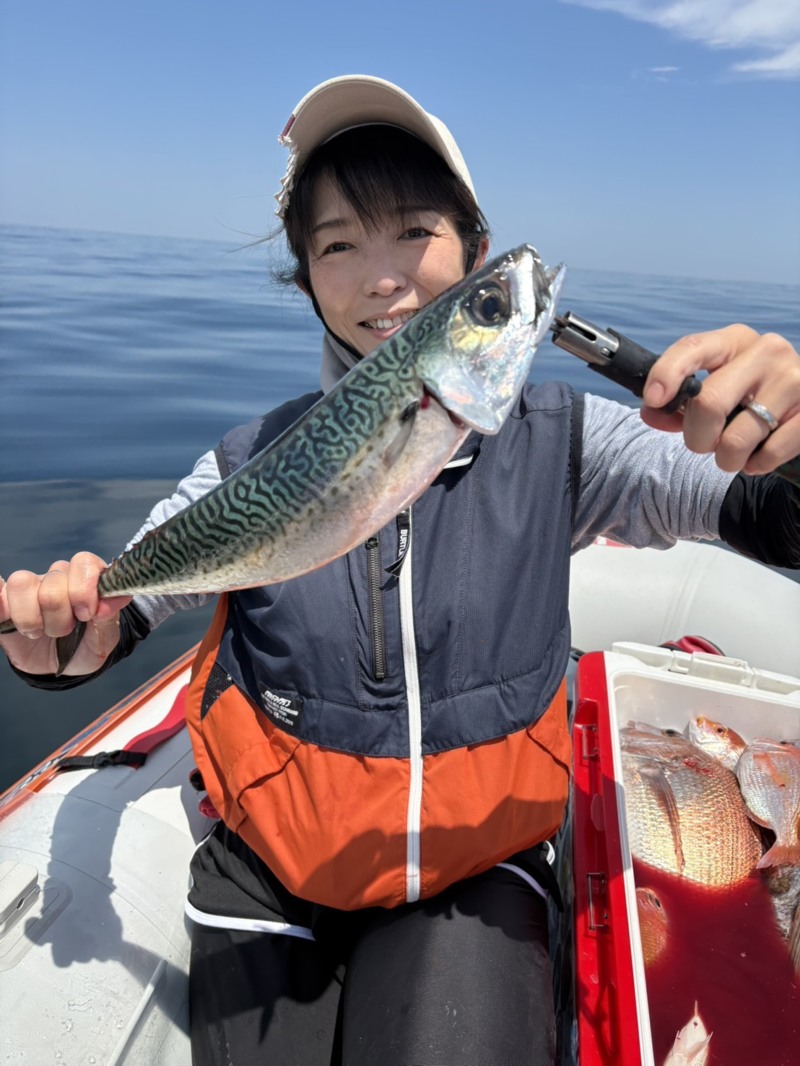 福井県三国タイラバ真鯛大サバ釣果