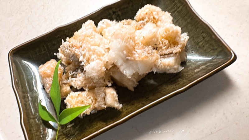 福井県三国タイラバ真鯛大サバ釣果