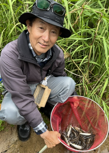 滋賀県知内川で今季初の小鮎釣行!良型連発