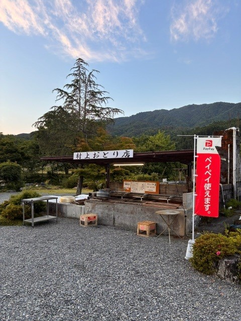 安曇川解禁
