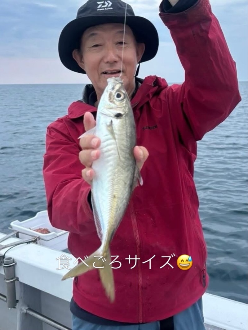 福井県小浜湾「田中渡船」で良型アジ釣果