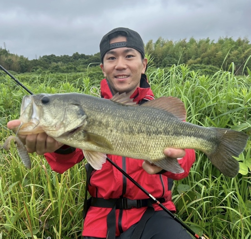 淡路島野池の岸釣りでバス釣果
