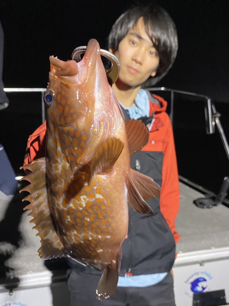 兵庫県西宮市西宮浜出船「バウンティホエール」アコウ釣果