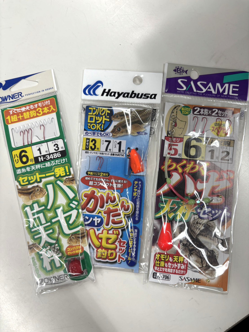 【和歌山県紀ノ川】汽水域でチョイ投げ!ハゼ釣果